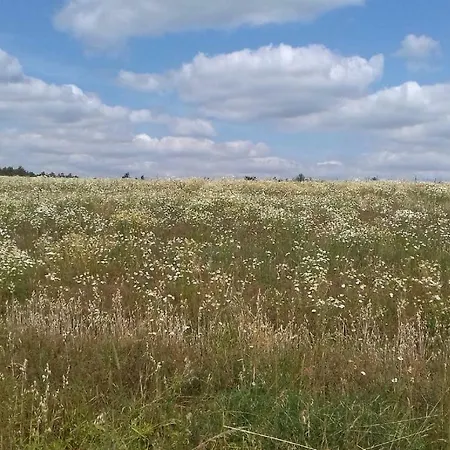 아파트 Haus Wiesengrund Rauhenebrach